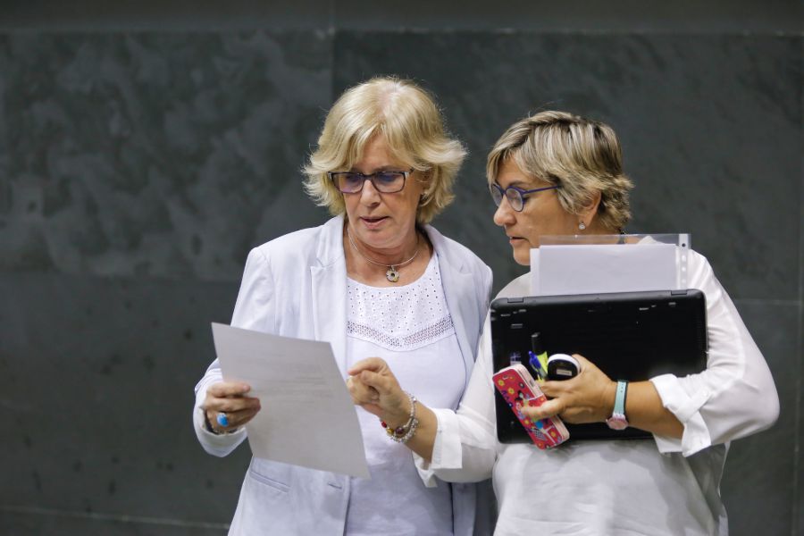 Aranoa (Bildu) y de Simón (I-E) elegidas representantes del Parlamento en el Consejo Escolar de Navarra