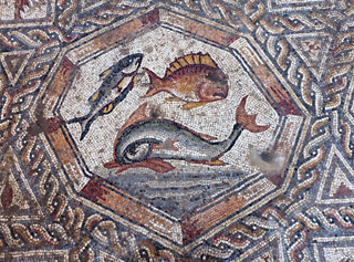 Arqueólogos revelan un mosaico «africano» en la ciudad israelí de Lod