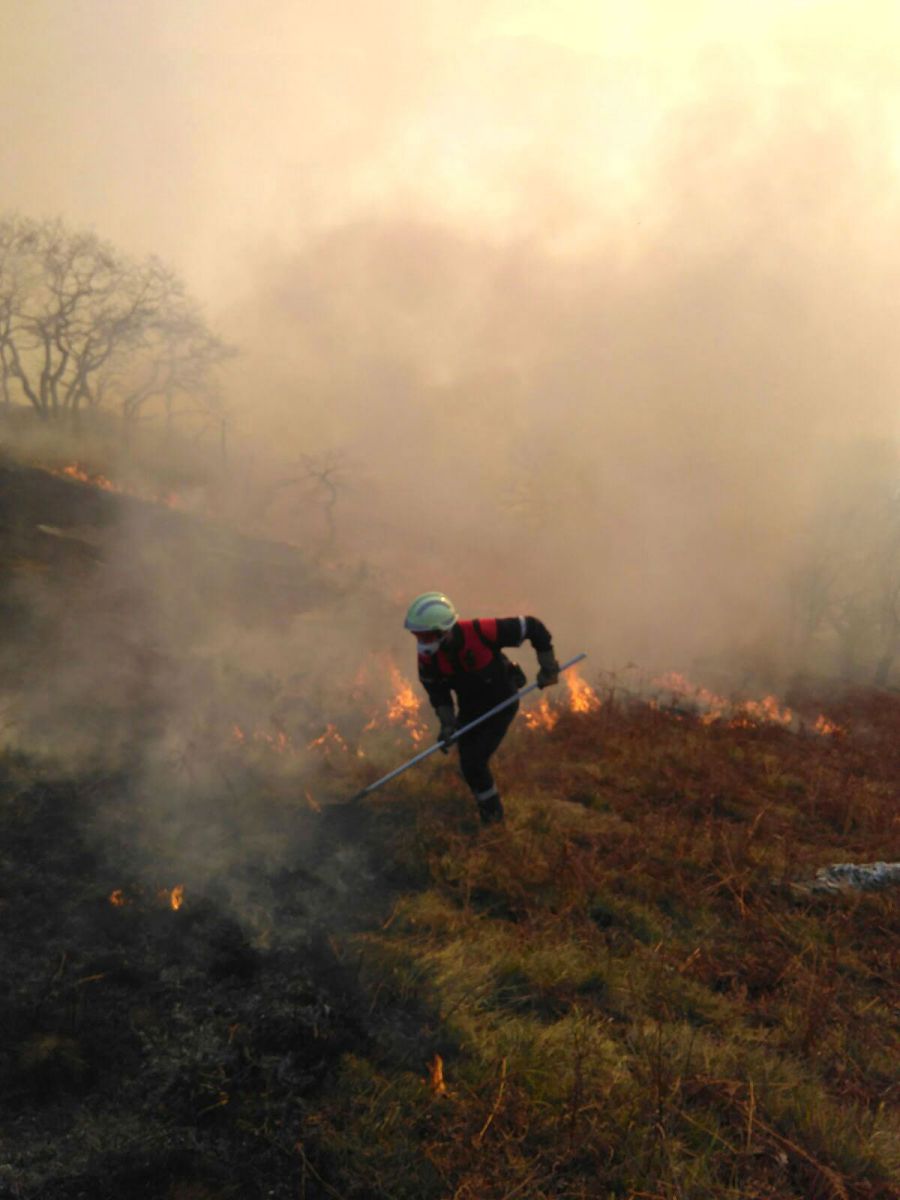 La mejora de la climatología podría permitir la extinción del incendio de Arantza