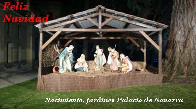 El equipo de Navarra Información desea  Feliz Navidad a todos nuestros lectores