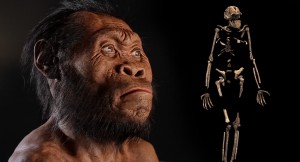 Homo naledi, la nueva especie de homínido