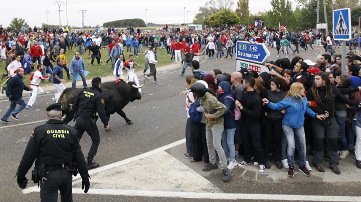 Un juez de Valladolid impone la primera condena penal por el Toro de la Vega