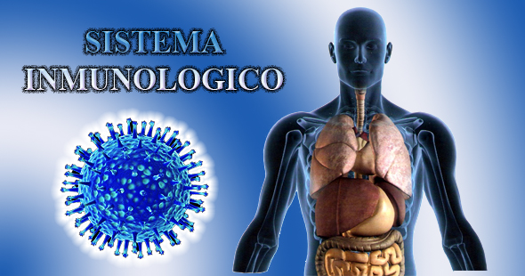 Un virus para potenciar la respuesta inmunitaria contra células cancerosas