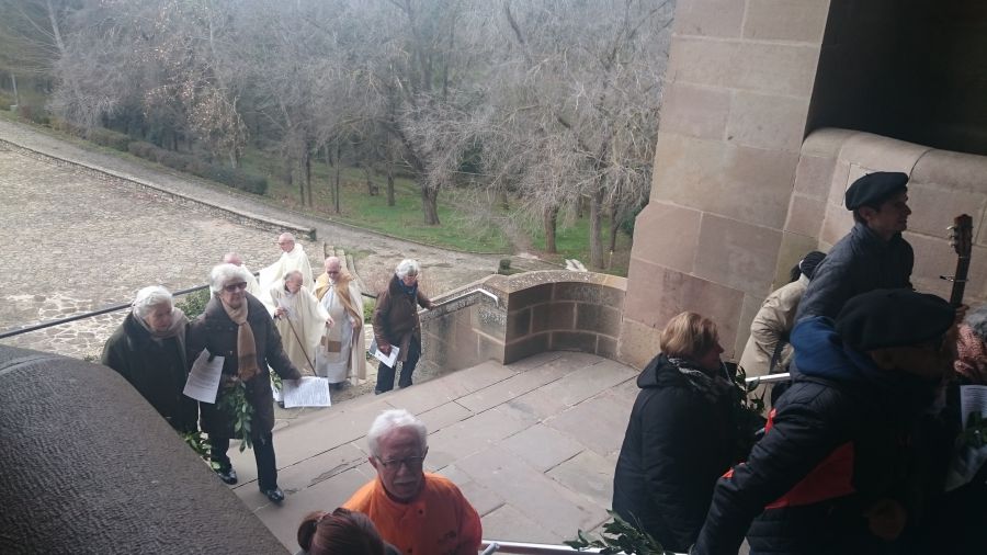 Año Jubilar en JAvier 2016