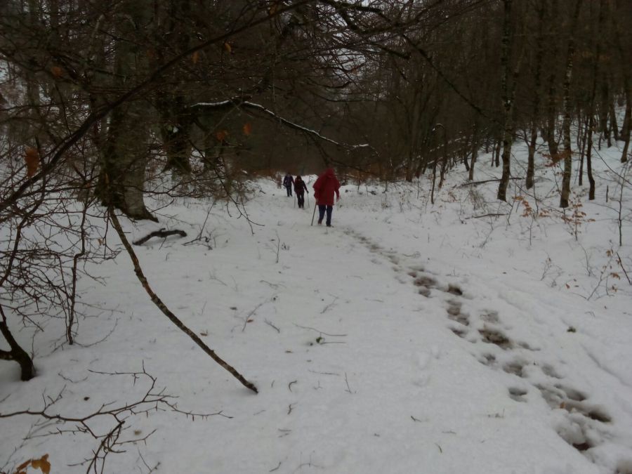 Alerta por frío, nieve y oleaje en el norte peninsular y Baleares