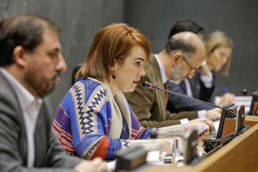 El Parlamento de Navarra aprueba por unanimidad la modificación de la Ley Foral de Patrimonio
