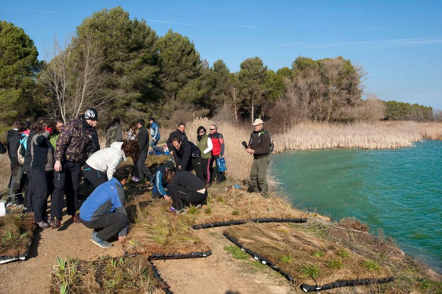 La laguna de Dos Reinos (Figarol) acoge la celebración del Día Mundial de los Humedales