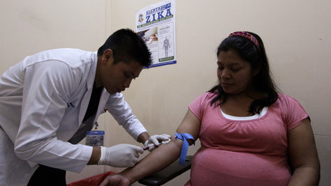 La OMS reúne al comité de emergencias para tratar la amenaza del Zika