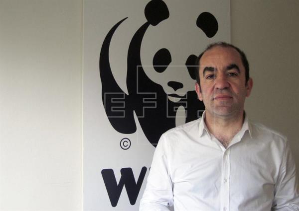Del Olmo (WWF): A los políticos les pedimos coherencia, estructura y ambición