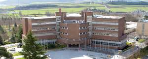 Tres graduados de Farmacia de la Universidad de Navarra, entre los 15 primeros puestos del FIR