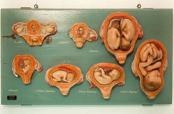Un paseo por la historia del parto: de la soledad del Paleolítico a la medicalización de la actualidad