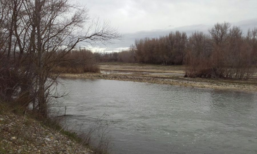 Dos proyectos en los ríos Aragón y Segura aspiran a la mejor iniciativa de gestión fluvial de Europa