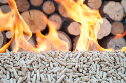 El uso de la biomasa para calefacción y usos industriales aumenta un 23% en dos años