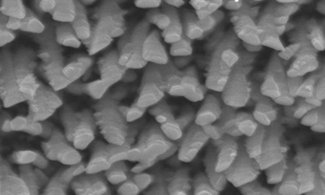 Científicos rusos inventan el revestimiento de implantes antibacterianos
