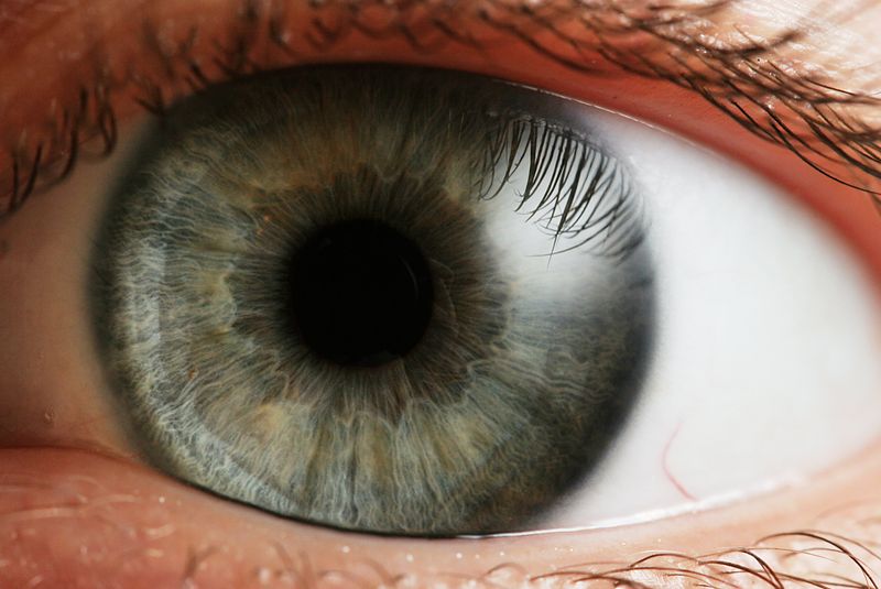 Un grupo de científicos apuesta por tratar afecciones oculares con células madre