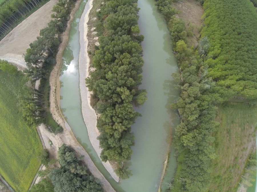 Mañana se falla el European Riverprize, uno de cuyos tres finalistas es el proyecto navarro de recuperación del visón