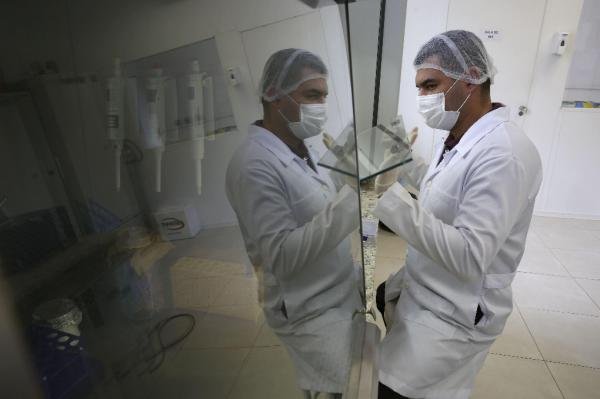 Identifican la estructura del zika, clave para futuros tratamientos y vacunas