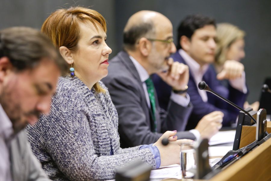 El Parlamento, por unanimidad, insta al Gobierno de Navarra a crear un área específica para LGTBI