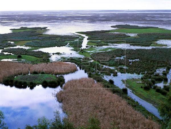 La Atlántida revive en Doñana después de 3.000 años