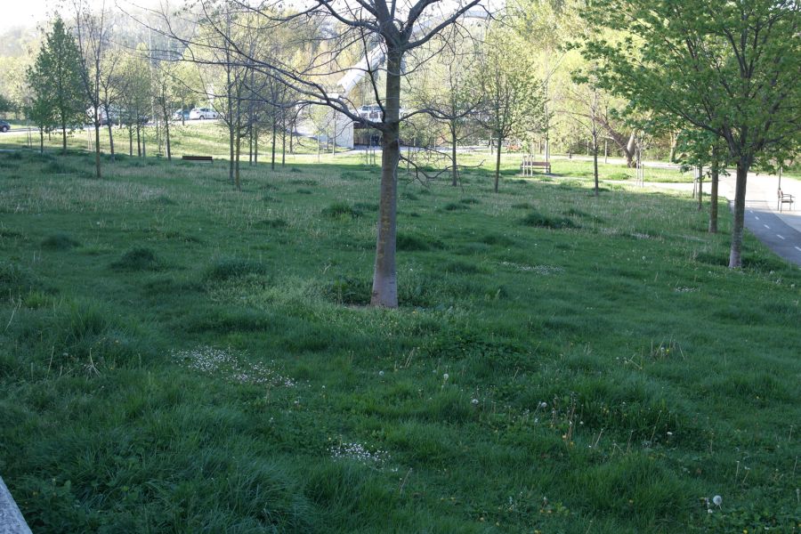 Parque del Arga (2)