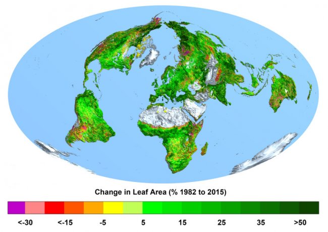 La concentración de CO2 ha hecho que la Tierra sea ahora más verde que hace tres décadas