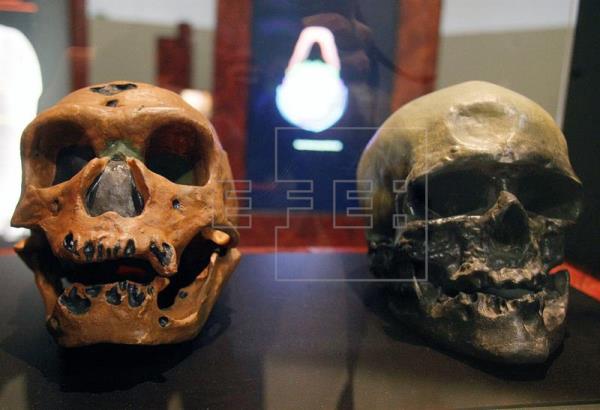 Hallados en Marruecos los restos del Homo sapiens más antiguo del mundo
