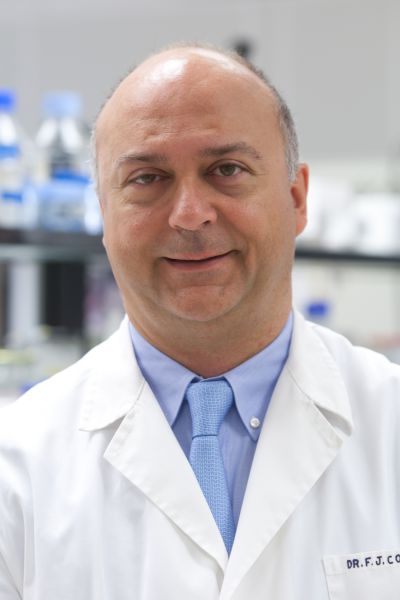 CIMA: La ausencia de una proteína orienta el pronóstico de los pacientes con cáncer de hígado