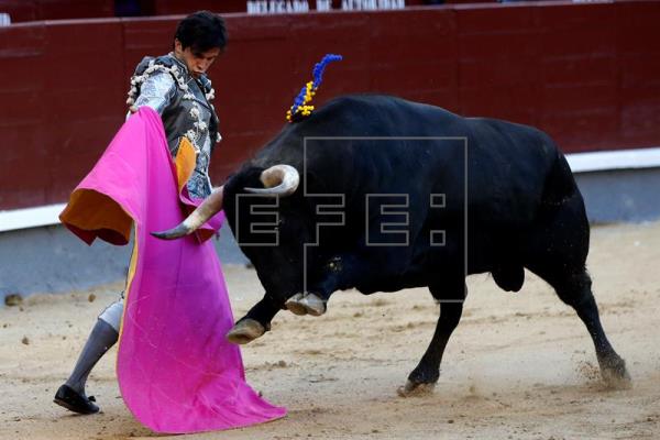 Un gran toro de Joselito pone el triunfo en bandeja a Del Álamo en Las Ventas