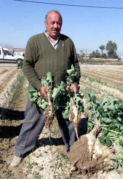El Gobierno distribuye 34 millones a las comunidades para agricultura y desarrollo rural