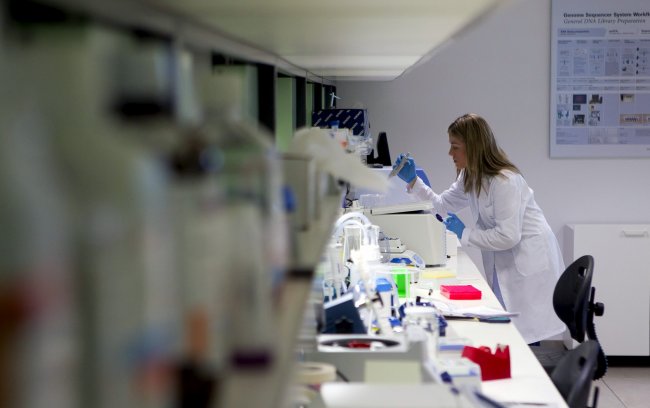 Identifican genes multitarea que rigen varias características humanas