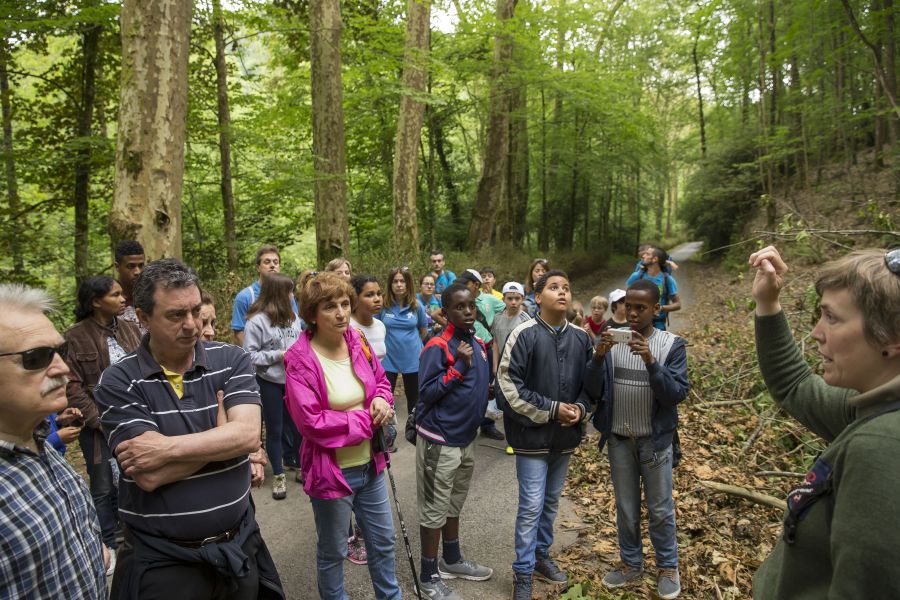 20160604 Día Voluntario la Caixa - paseo 2