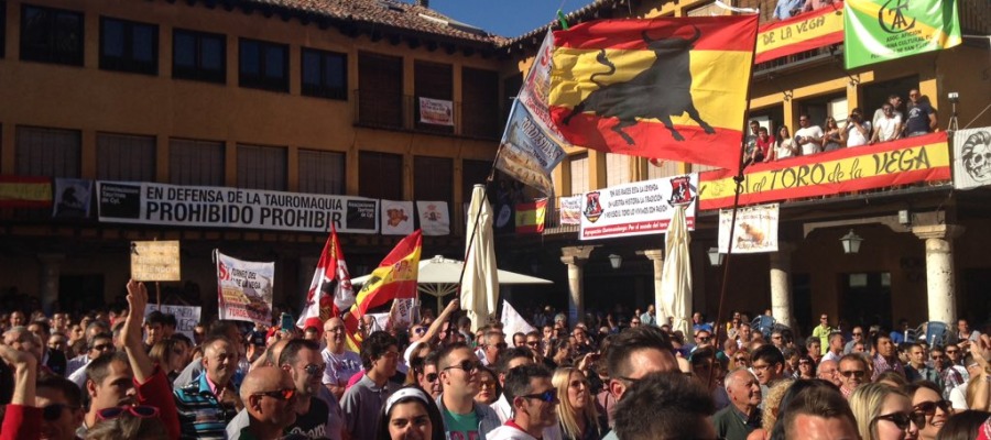 El pueblo de Tordesillas defiende su libertad y derecho al Toro de la Vega
