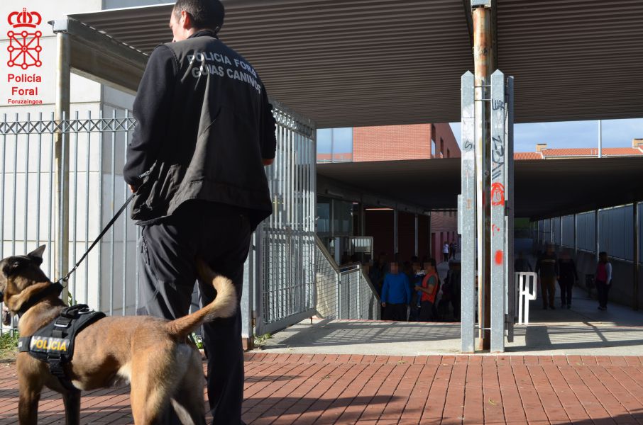La Policía Foral finaliza la campaña de control de drogas en centros escolares de la comarca de Pamplona y de la Ribera