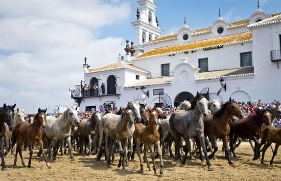 'Saca de las Yeguas', la perdurabilidad de lo ancestral en Doñana