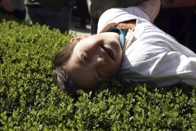 Té verde, posible terapia para el síndrome de Down