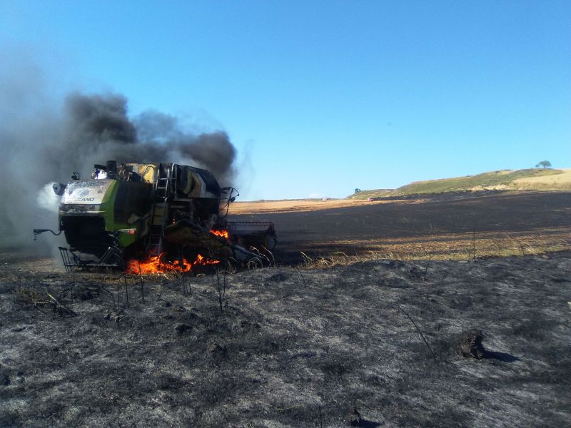 Dos incendios afectan a campos de cereal sin cosechar en Allo y Romanzado