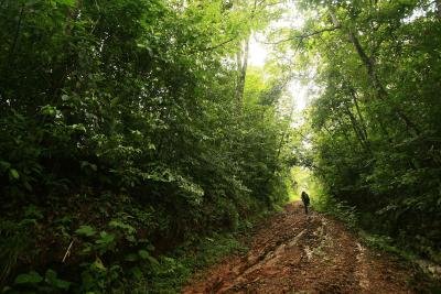 El cambio climático en áreas tropicales amenaza la economía mundial