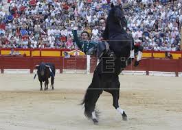 Andy Cartagena arrasa con tres orejas y un rabo en el cierre de Alicante