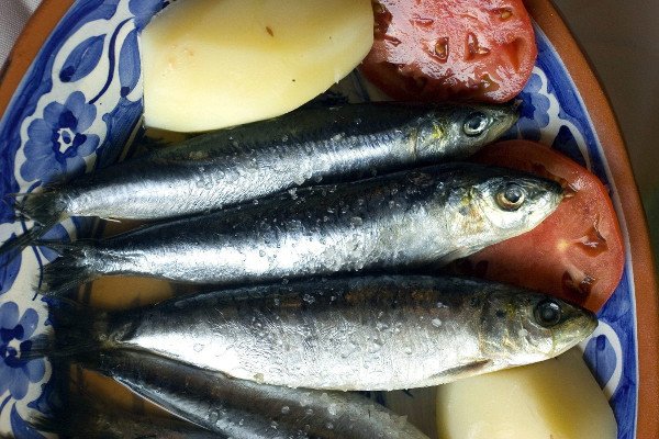 El método del plato y algunas recetas saludables para comer con equilibrio