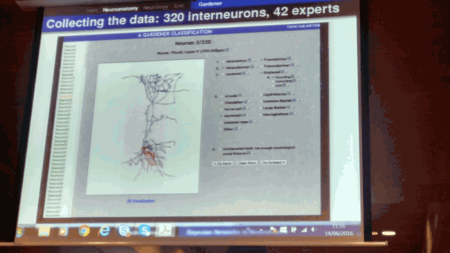 Los macrodatos permitirán conocer el comportamiento de las neuronas ante enfermedades