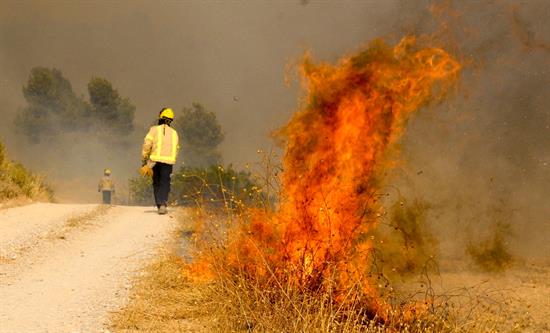 Estabilizado el incendio de Vallbona (Lérida) tras quemar cerca de 800 hectáreas