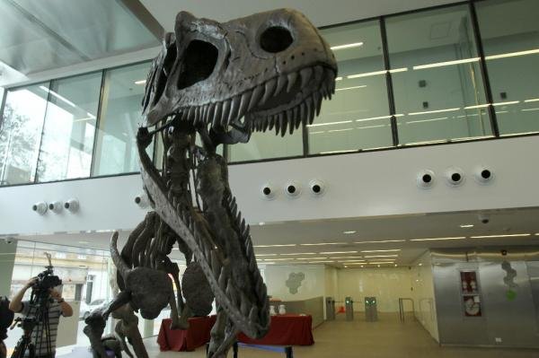 Nuevo dinosaurio descubierto en Argentina con los mismos brazos cortos del T. rex
