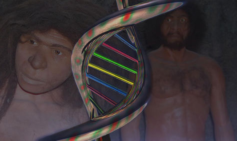 Un nuevo antepasado de los humanos que dejó su ADN en islas Andamán