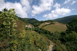 El Gobierno de Navarra destina 2,3 millones de ayudas forestales 2016-2017