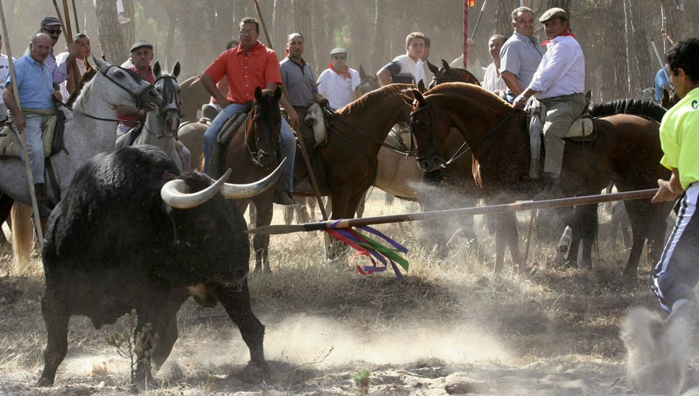 El Toro de la Vega de Tordesillas será sustituido por el Toro de la Peña