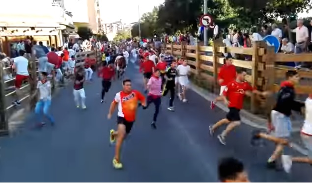 Rápido y sin incidentes en el cuarto encierro de las Fiestas de Tudela 2016