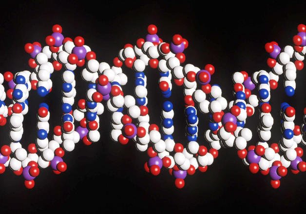 La edición genética da otro paso en la investigación con dos nuevas técnicas