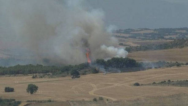Un incendio quema 5 hectáreas de rastrojo y pinar en Mendigorría
