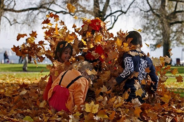 Vitaminas “verdes” contra el estrés infantil