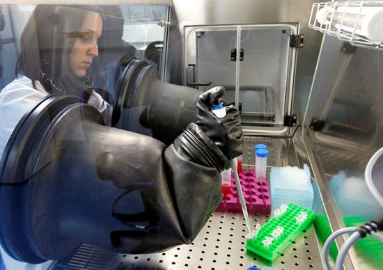 La ciencia da un paso más hacia la posibilidad de crear riñones trasplantables
